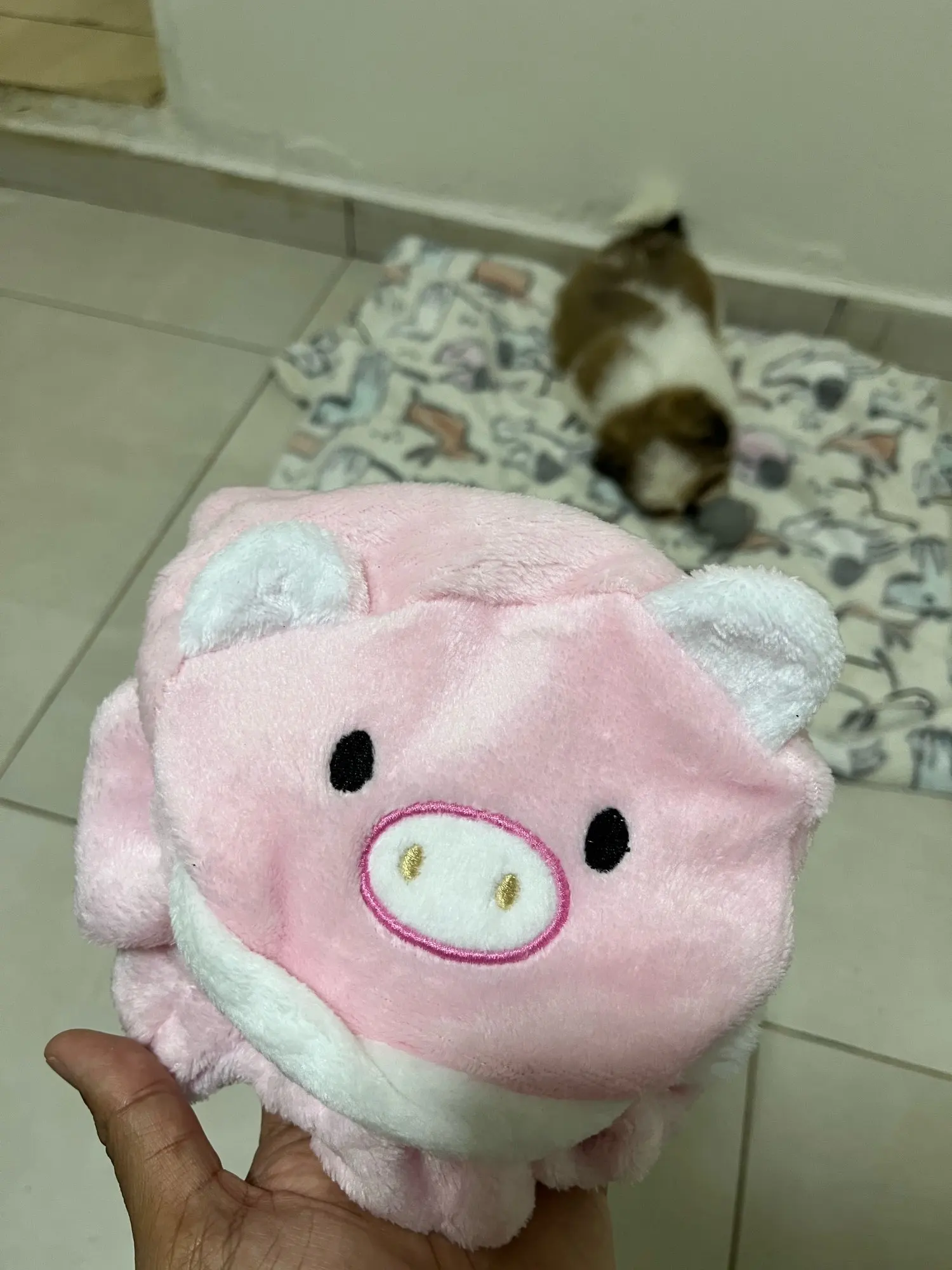 New Dog Interactive Ball Toy, Automatic Rolling Dog Ball Rechargeable, Smart Puppy Interactive Toy photo review