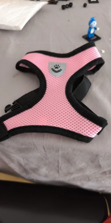 Summer Cat Dog Harness Lead Leash Adjustable Vest Polyester Mesh photo review