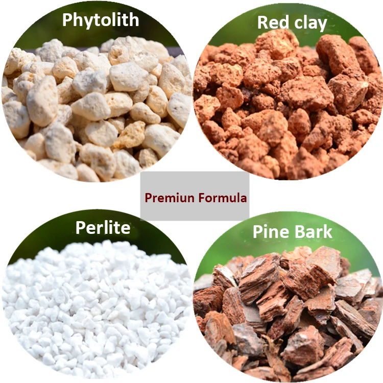 500g Slow-Release Orchid Substrate Planting Fertilizer plant fertilizer