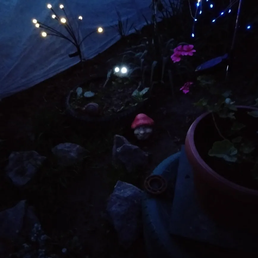 Sunlit Serenade: Resin Solar Lamp Frog Statue for Garden Delight photo review