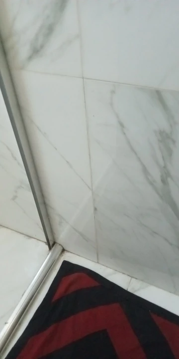 Kit 1/2 Cacto Dançante e Falante Interativo Recarregavel Reproduz Voz, Música, Dança, Luzes, Pelúcia Boneco Brinquedo+cabo photo review