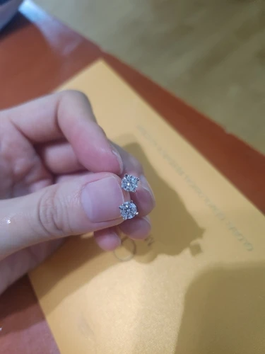 Moissanite Ear Stud Earrings photo review