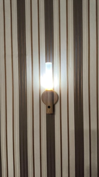 LED Smart Human Body Sensor Night Lights Emergency Automatic Lighting photo review