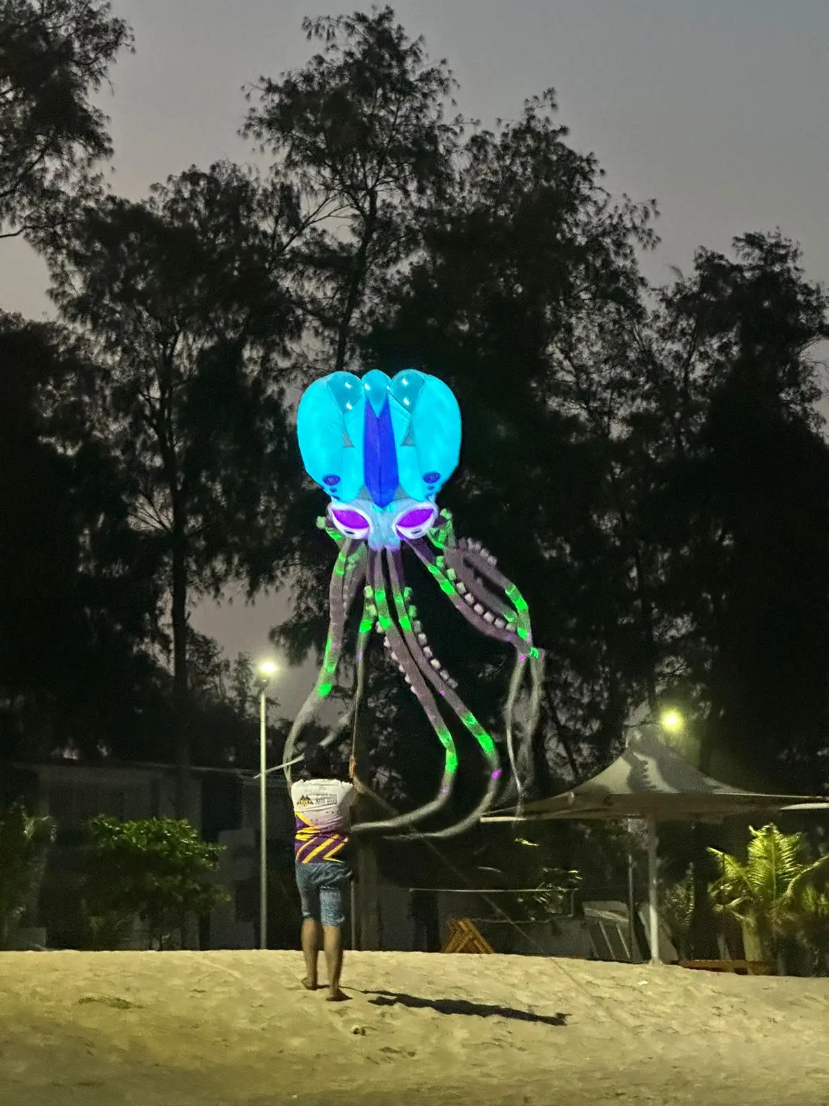 10/12M LED Kite soft Octopus night kite with battery remote control in high brightness by round corner LED well prototect kite 2