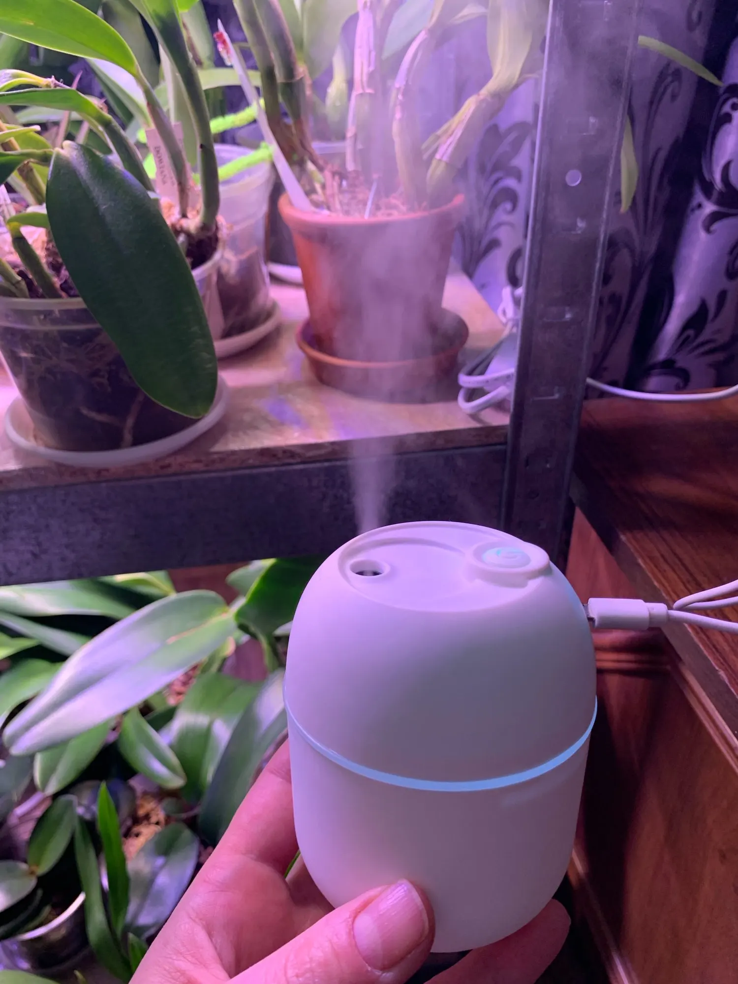 Mini Air Humidifier & Essential Oil Diffuser photo review