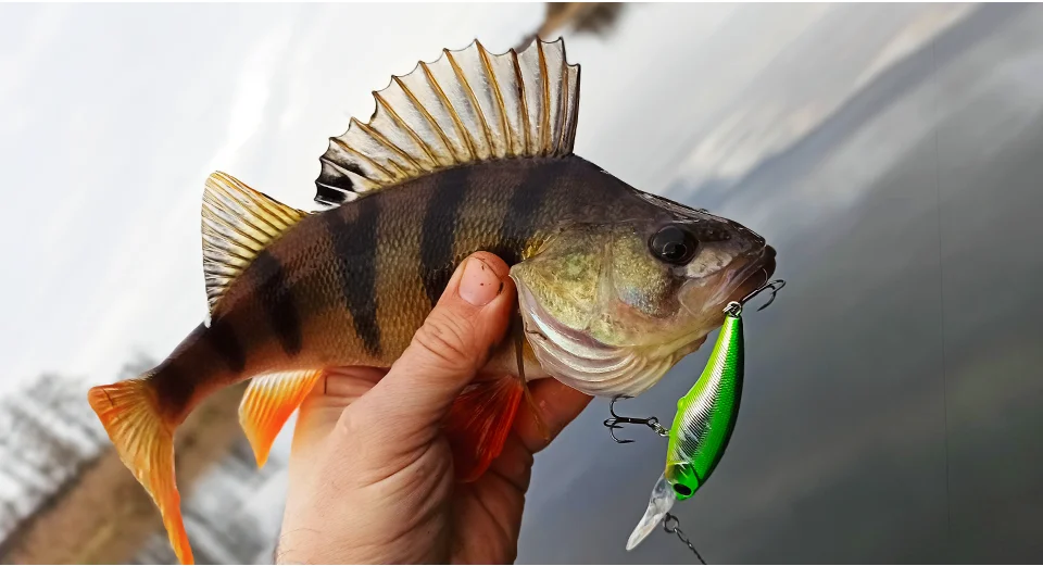 TSURINOYA Max 3,7 m Suspend Minnow Explorers 60SP 5,7 g künstlicher SHAD-Angelköder Hechtbarsch Chub High Response Action Hard Bait – Detail 26