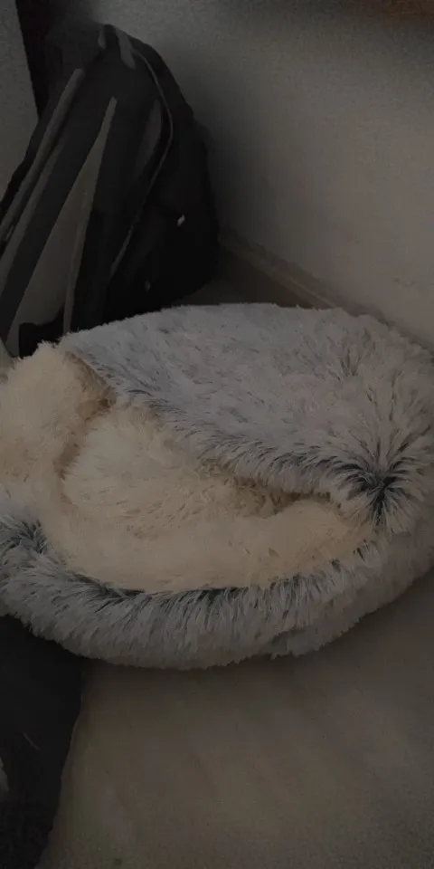 Autumn and Winter soft plush pet bed and pet bed Winter warm and cold plush comforter nest Shell cat nest semi-enclosed cat nest photo review