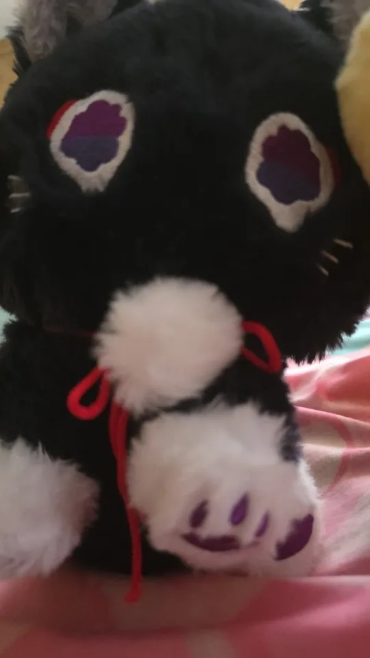 The Scarameow Plushie photo review