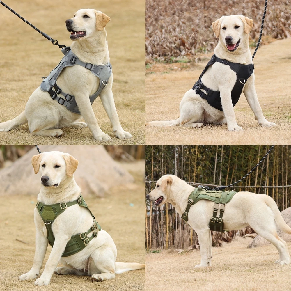 golden retriever tactical vest