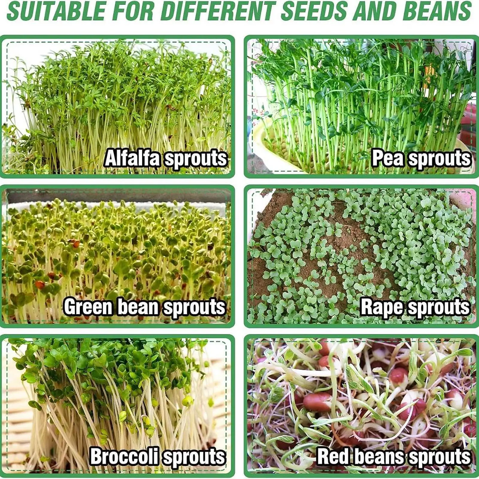 8.5inch stainless steel seed sprouting kit stackable round sprouting tray sprout maker growing tray for broccoli beans alfalfa sprouting jars kit