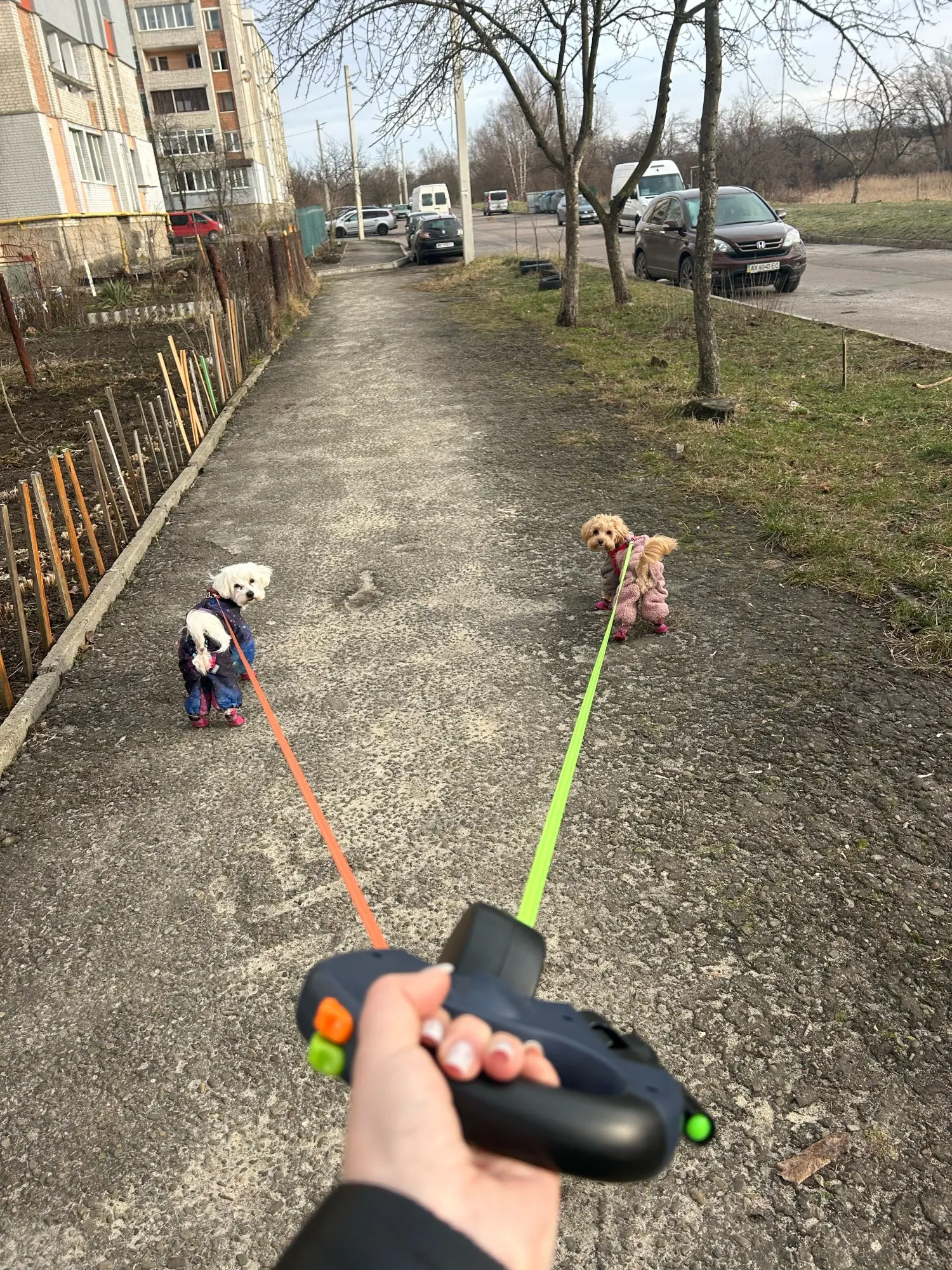 3m Retractable Dual Leash with Reflective Design and 360° Swivel - No Tangle, No Fuss Walks with Lights photo review