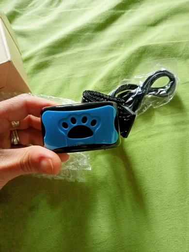 Customer photo