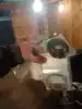Изображение товара 2