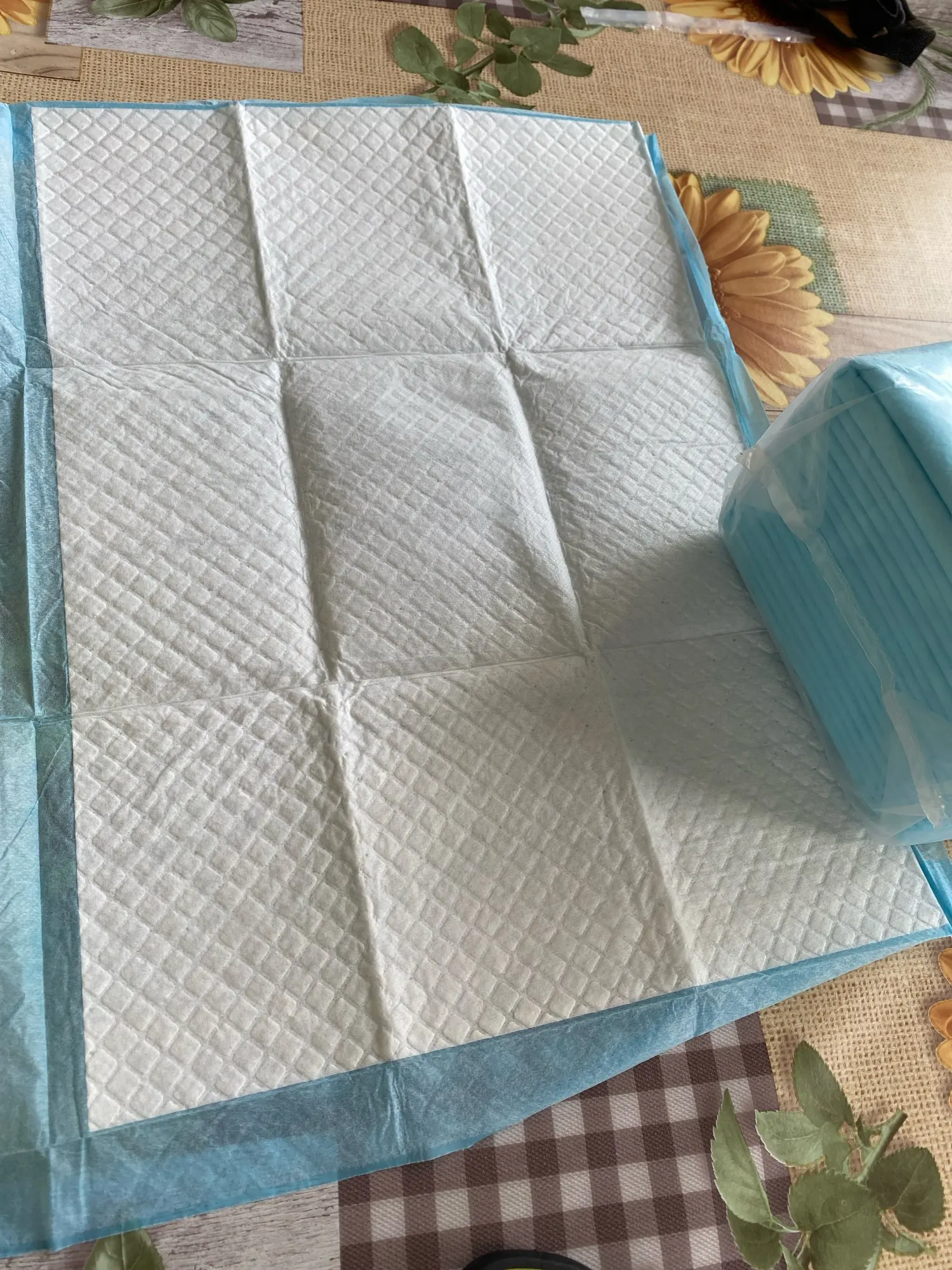 PawsGuard: Super Absorbent Disposable Training Pads for Dogs & Cats photo review