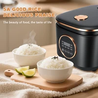 Cuisinière à riz multifonctionnelle de grande capacité 5L, commande par bouton, entièrement automatique, cuisinière électrique domestique avec cuve intérieure antiadhésive 3