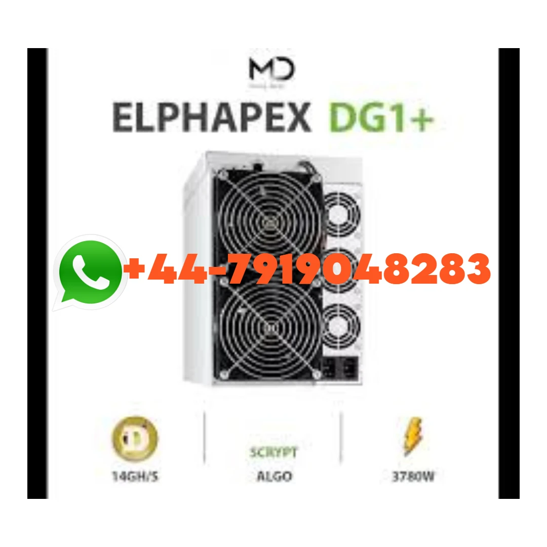 지금 구매 광부 엘파펙스-DG1 + 14 Gh/s 스크립트 (DGB, LTC, BEL, LTC, LKY)