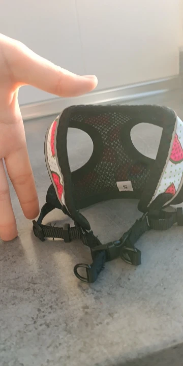 Reflective Mesh Harness: Safety and Style for Small Cats & Dogs photo review