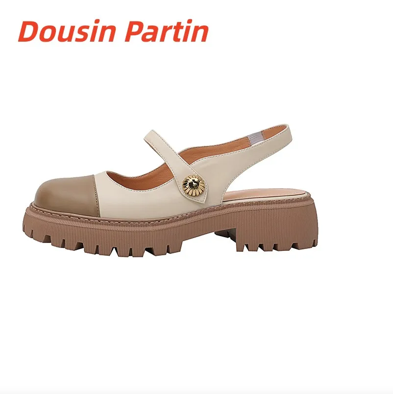 الصفحة الرئيسية