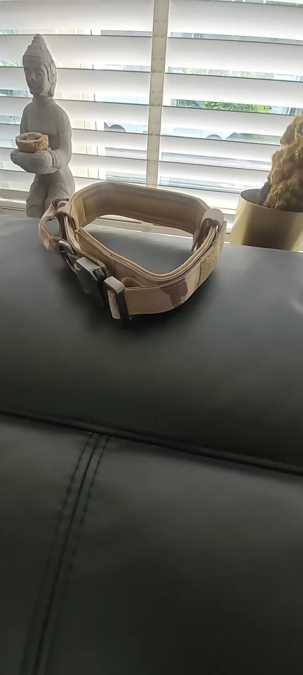 Fashion Tactical Dog Collar