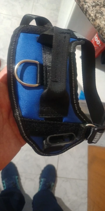 Arnés de perro personalizado sin tirones, chaleco reflectante y transpirable para mascotas pequeñas y grandes, accesorios de entrenamiento para caminar al aire libre photo review