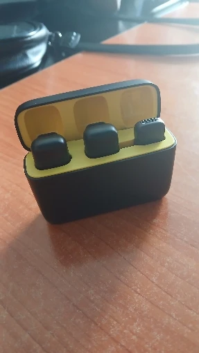 Wireless Microphone Lavalier with Charging Case Windproof Fleece Suitable with Noise canceling MIC photo review