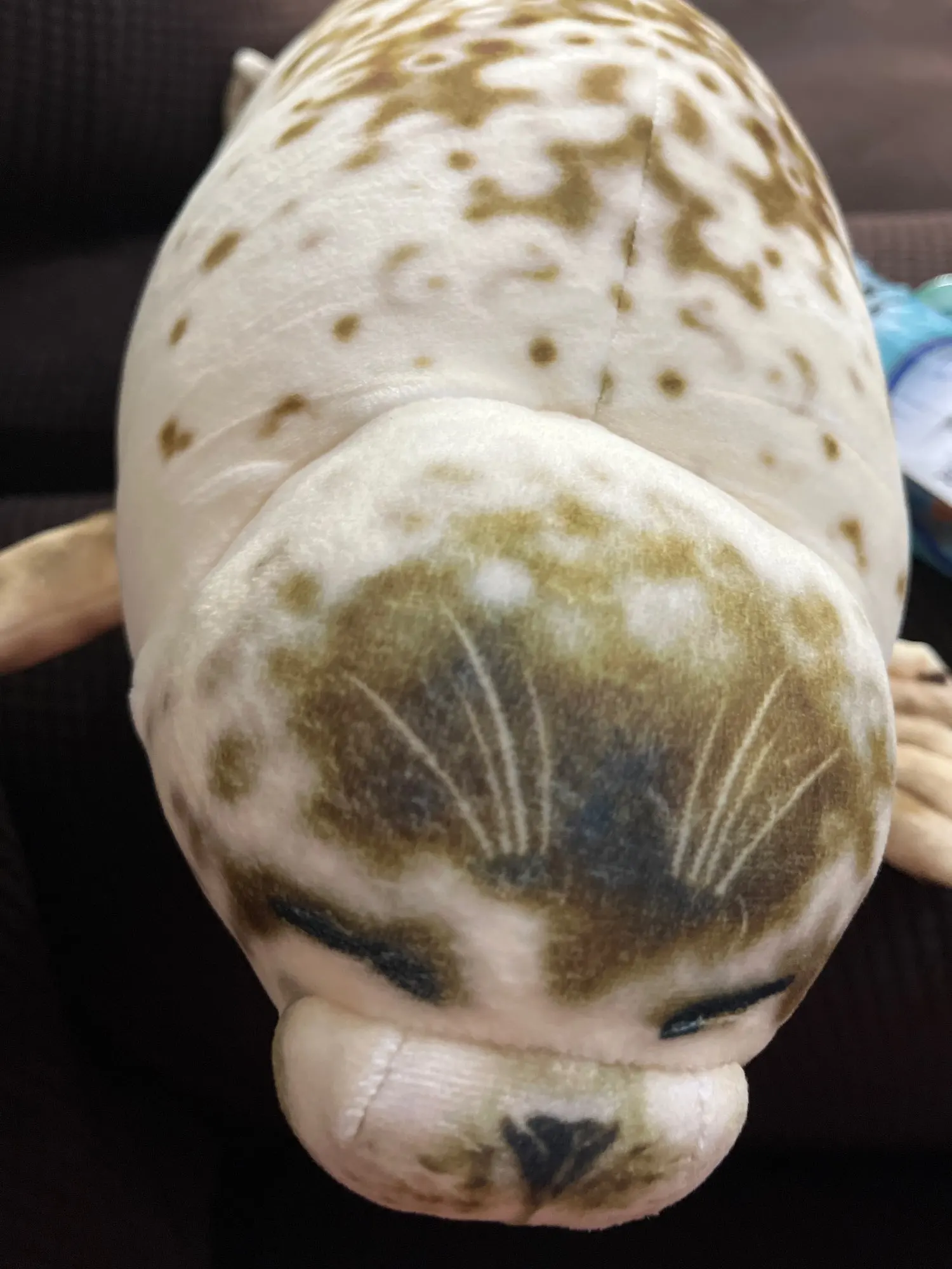 Foquinha Serena Fofeza® de Pelúcia