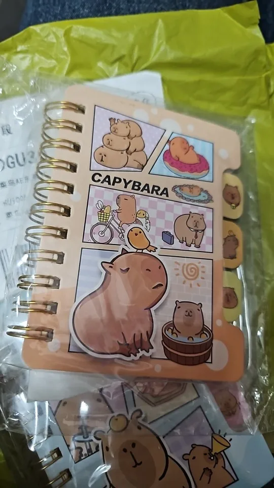 Capybara Notebook Collection photo review
