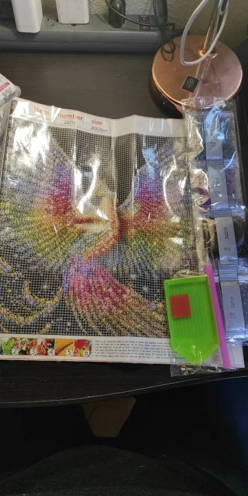 DIY Phoenix Diamond Art Painting 30x30cm