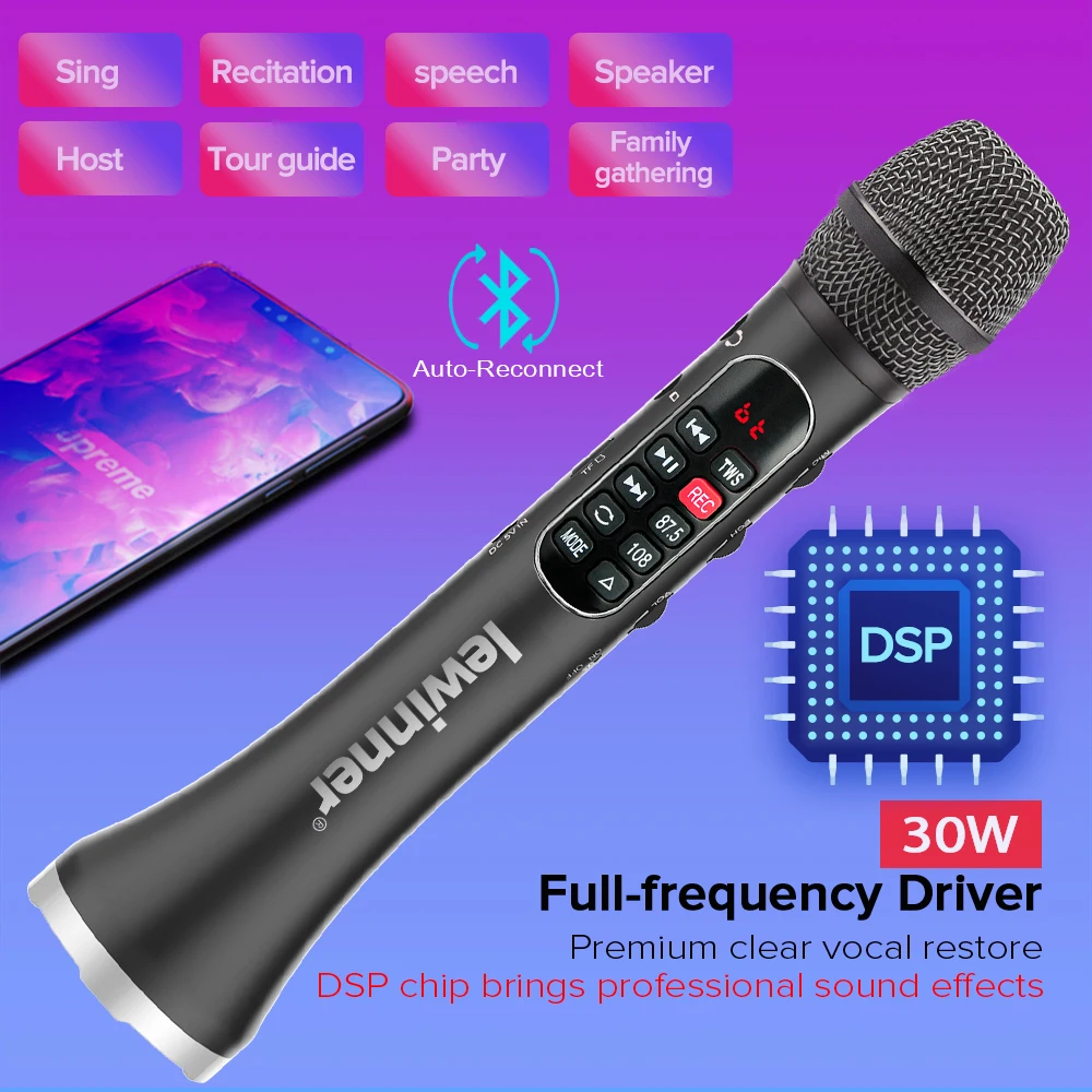 Lewinner L-1098 karaoke Microphone 30W Professional Wireless