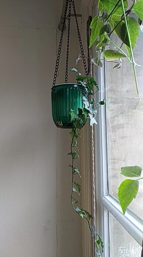 Self-Watering Hanging Planter with Drainage – Indoor/Outdoor Flower Pot with 3 Hooks photo review