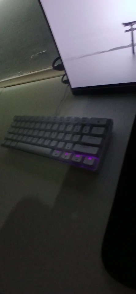 APAYADO K61 60% Wired Mechanical Keyboard RGB Backlit photo review