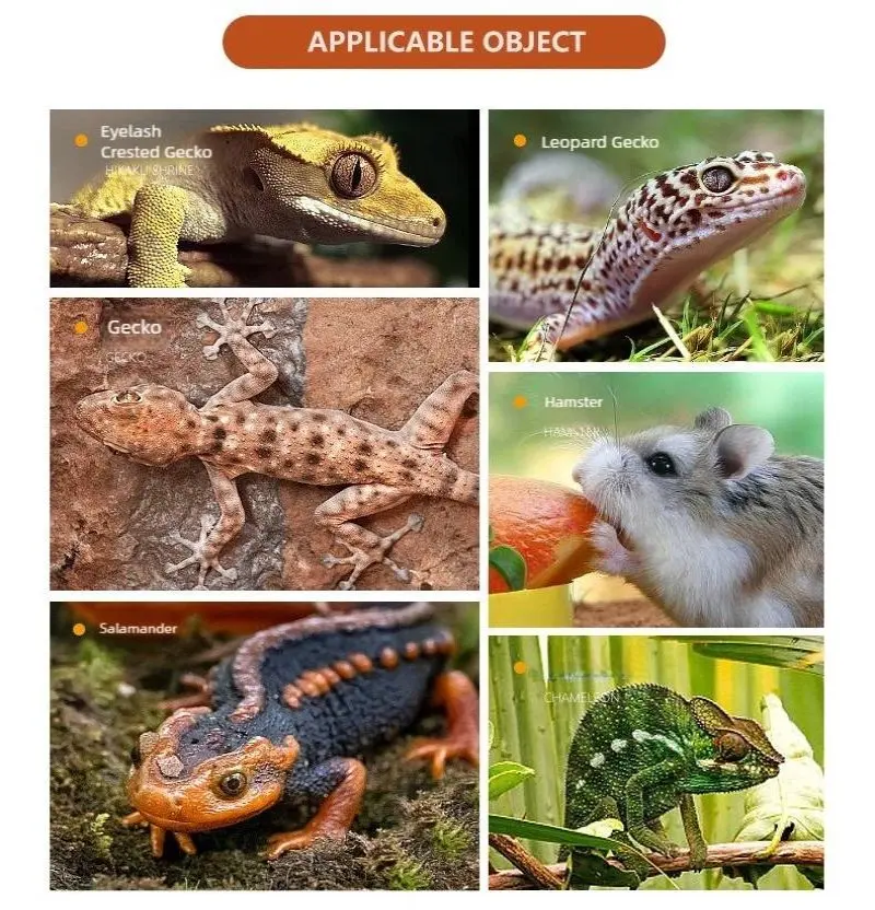 Automatic Reptile Water Dish 5