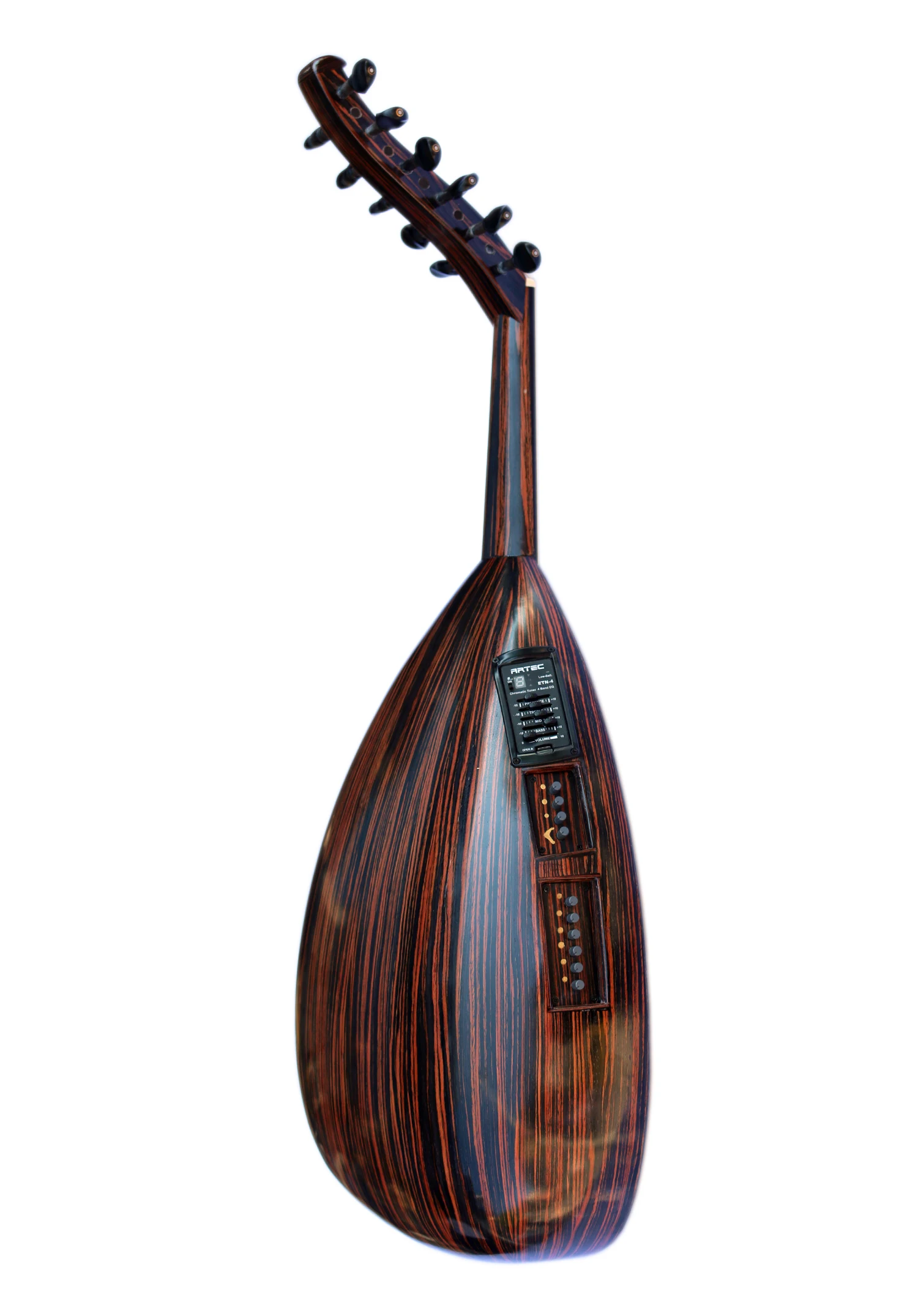 Рисунок 4 - Специальный арабский Электрический