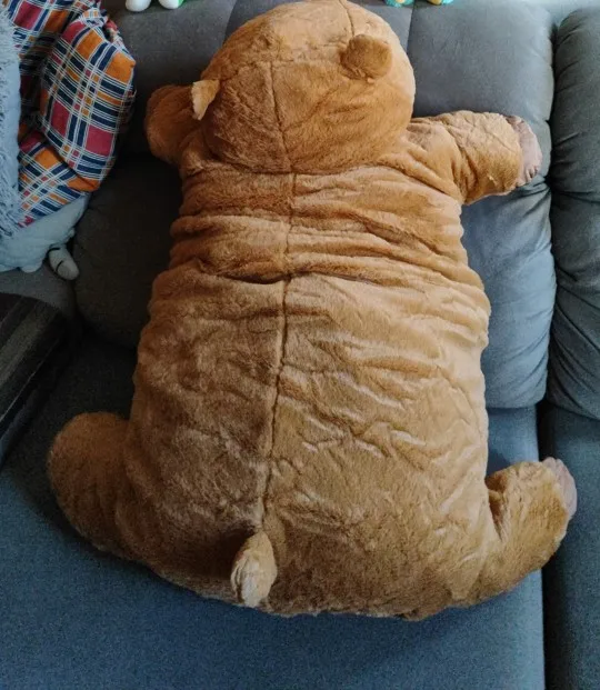 Capivara Fofeza® de Pelúcia – Estilo Almofada