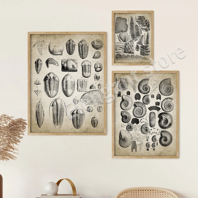 Vintage Paleontology Wall Art: Trilobite & Ammonite Canvas Painting Decor