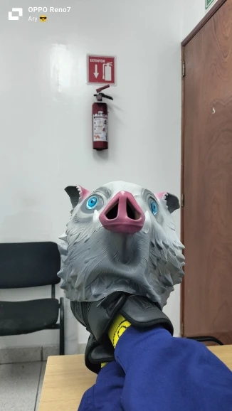 User picture