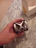 Изображение товара 3