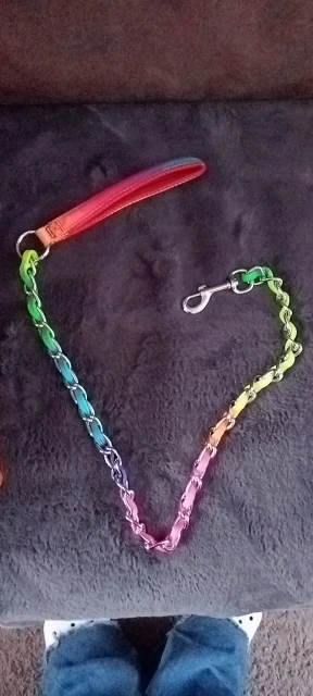 Sturdy Stainless Steel P Choke Metal Chain Dog Collar Lead Set - Perfect for Training Small, Medium, and Large Dogs photo review