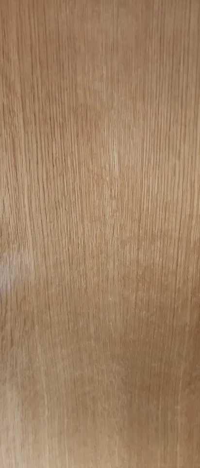 Halsband - Verstellbar, Reflektierend & Komfortabel für kleine Hunde und Katzen photo review