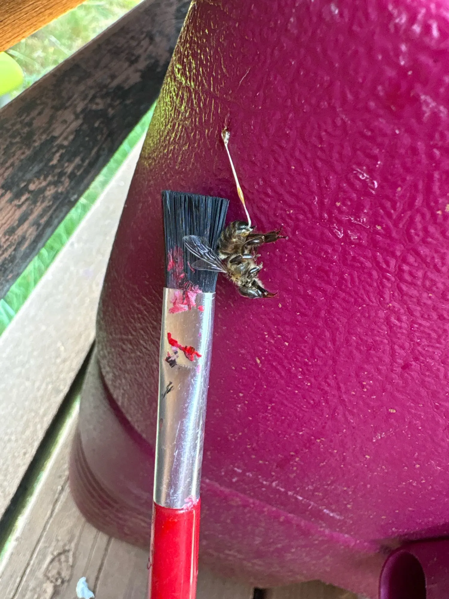 Elegant Pleated A-Line Skirt for Summer Chic Style photo review