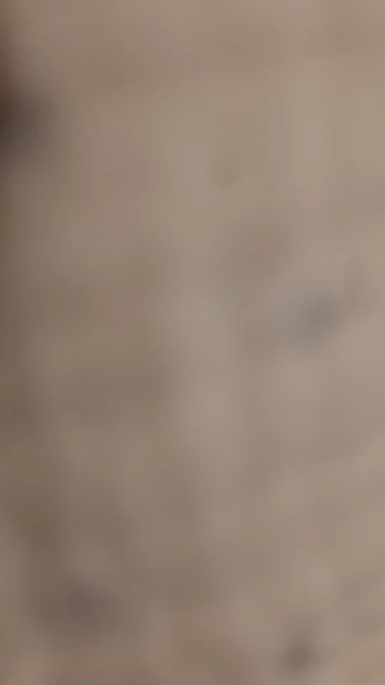 Women's Summer Casual Tank Top & High Waist Flare Pants photo review