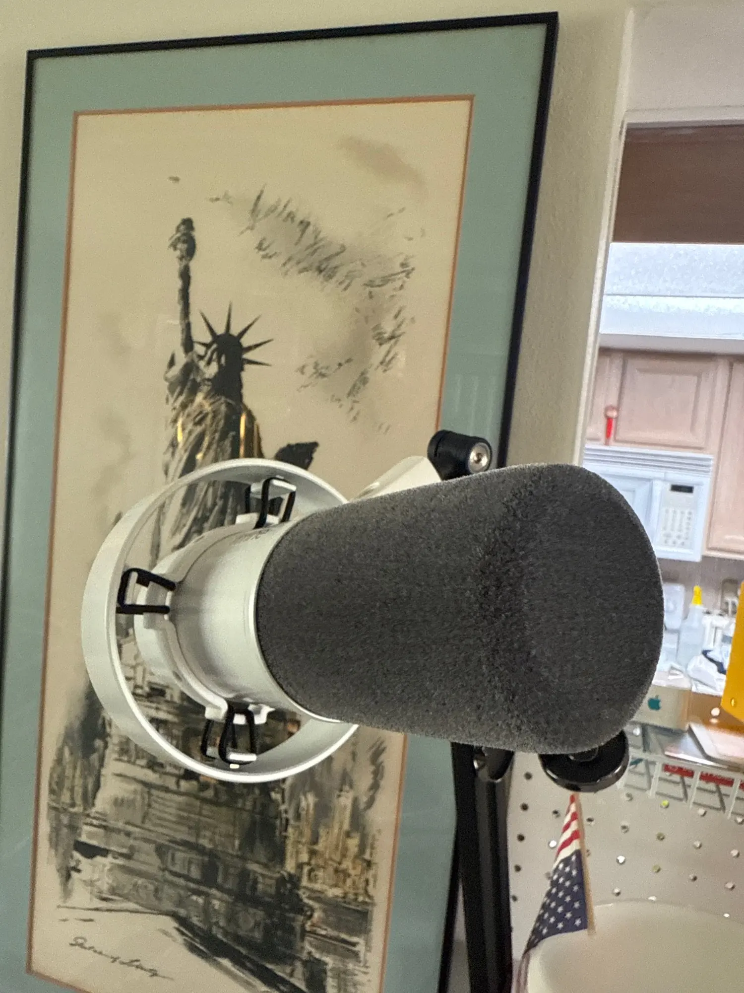 FIFINE Dynamic USB/XLR Microphone with Gain Knob/Touch-mute/Headphone Jack,Recording Mic photo review