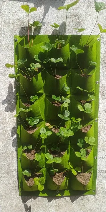 Future Garden - Wandbepfanzung mit bis zu 81 Pflanzplätzen aus hochwertigem Kunststoff Flies-Material