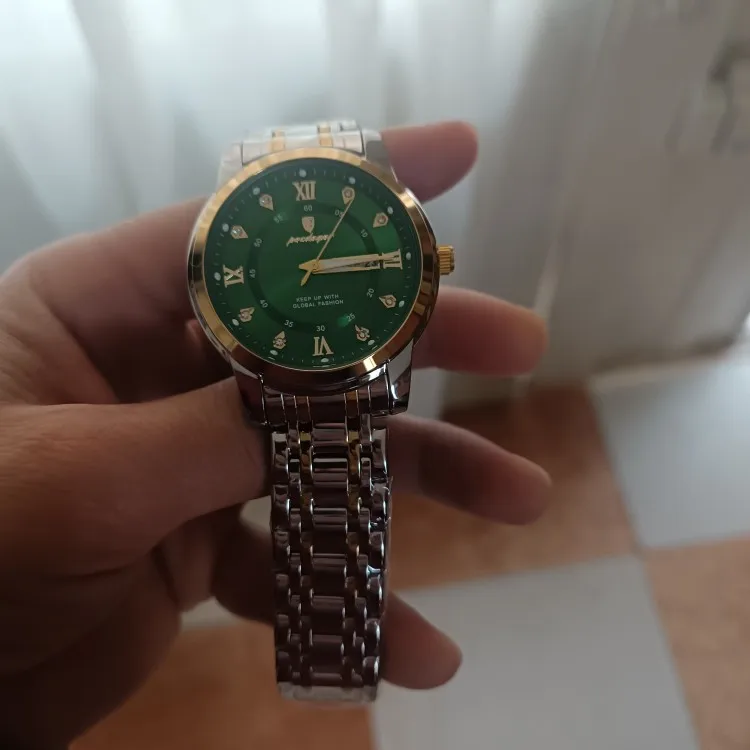 POEDAGAR Luxury Watch for Men photo review