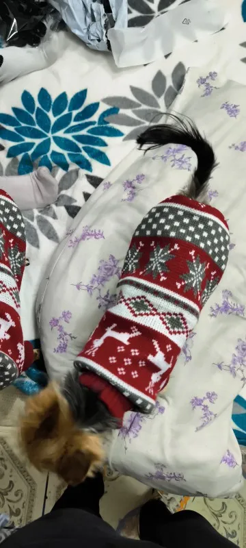 Cozy Knitted Christmas Sweater