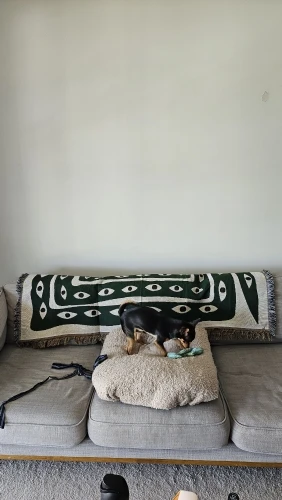 Eye Snake Green Blanket, customer photo