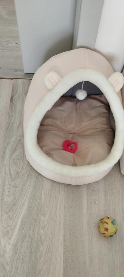 Cat Toys | Mouse Shape toys | Foldable Cat Toys । Cat & Dog Toys | ATOZBY photo review