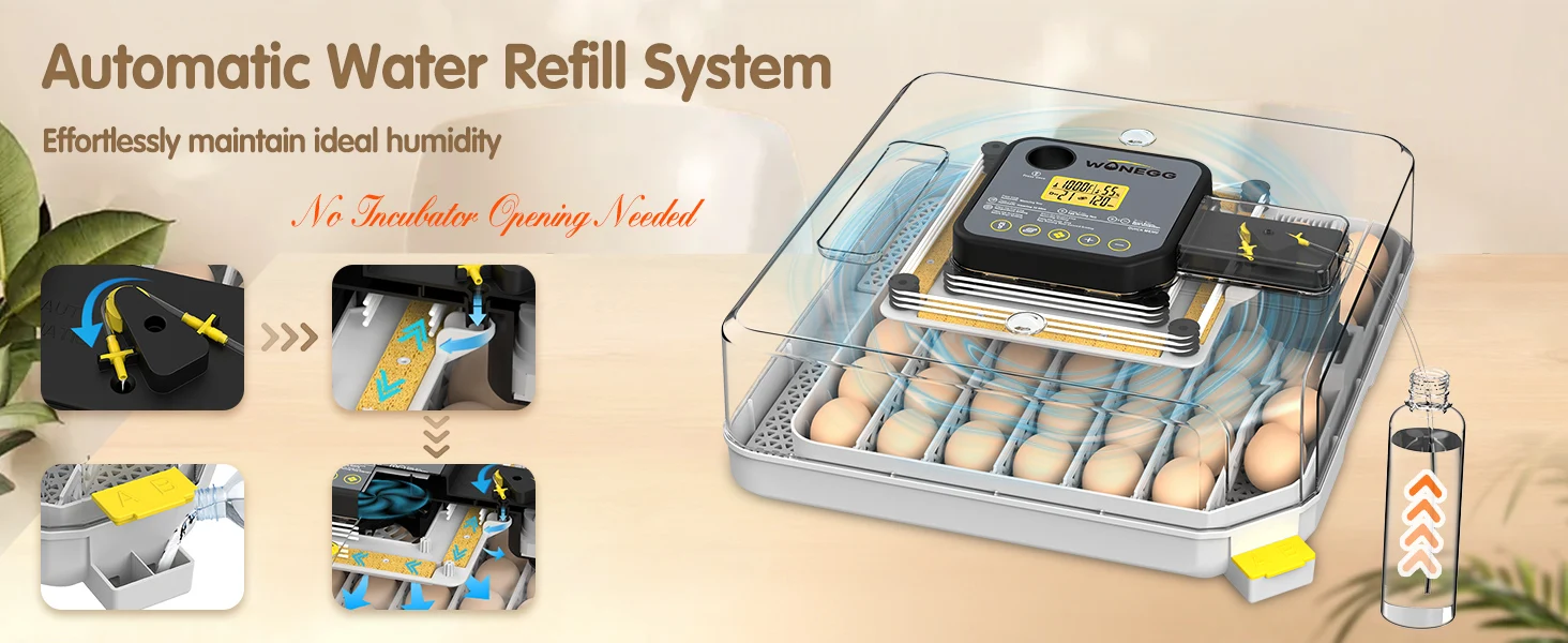 auto egg turning
