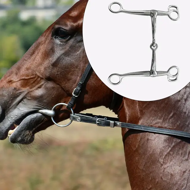 Western Horse Snaffle Chew Racing Accessory Equestrian Mouth Bit for Outdoor Horse Riding Training Equestrian Sports Competition 4