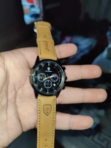 POEDAGAR Luxury Man Wristwatch photo review